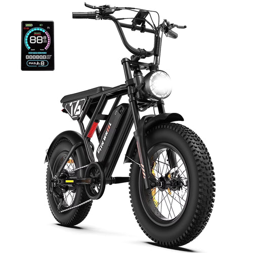 LB16 750W Electric Bike for Adults, 20" × 4 Fat Tire E Mountain Bikes, 48V 14.5Ah Removable Battery, Front Suspension, 7-Speed UL2849