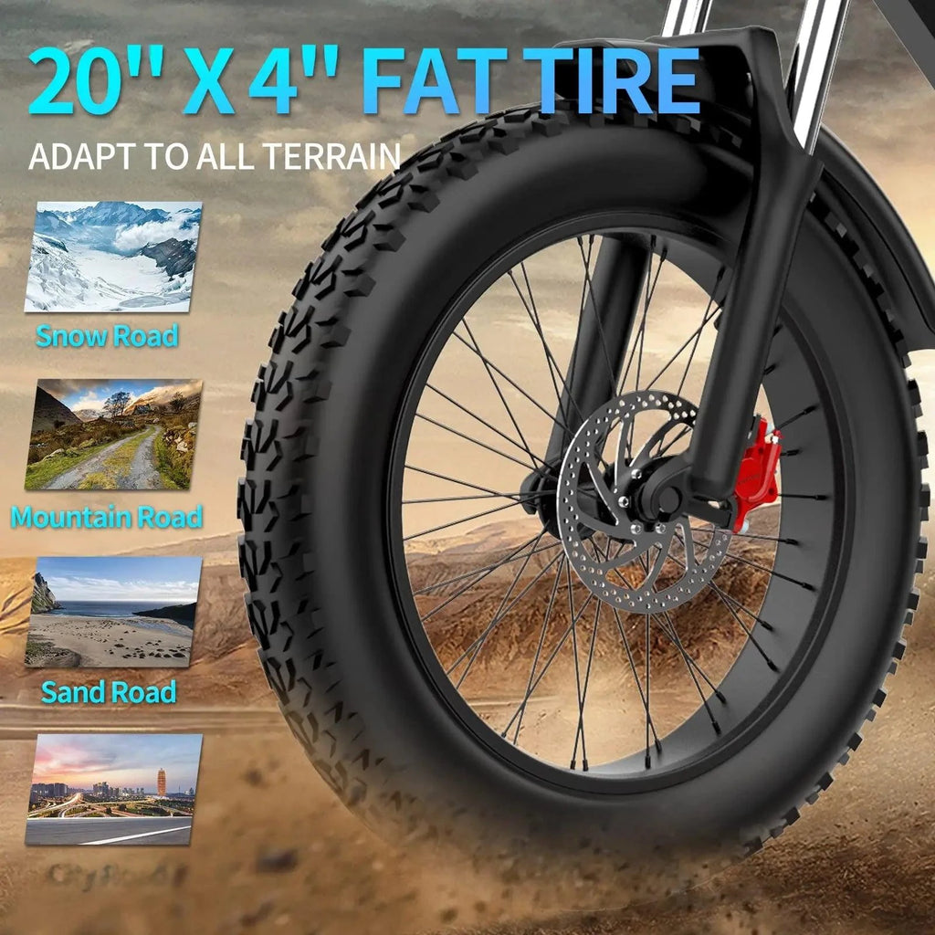 20 in x 4 in fat bike tire with disc brake and black front wheel.
