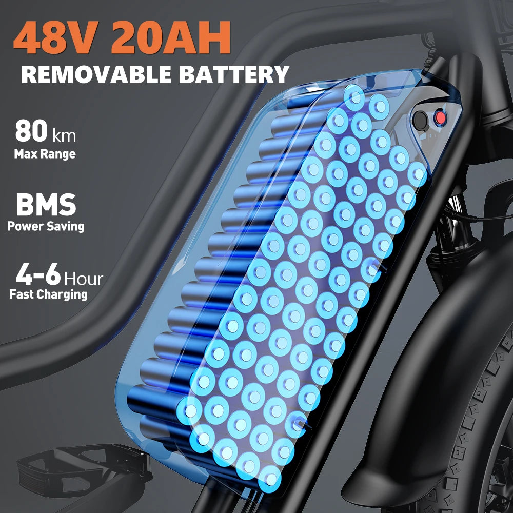LD20 Fat Tire E-Bike