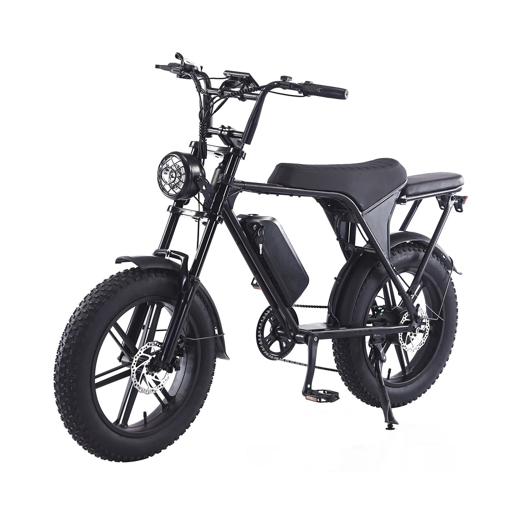 Fat Tire Mountain E-Bike
