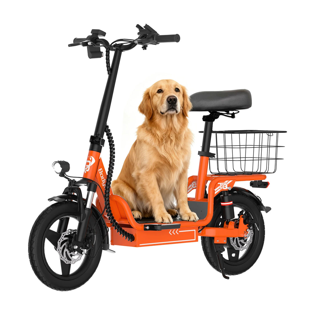 T3 Folding E-Bike
