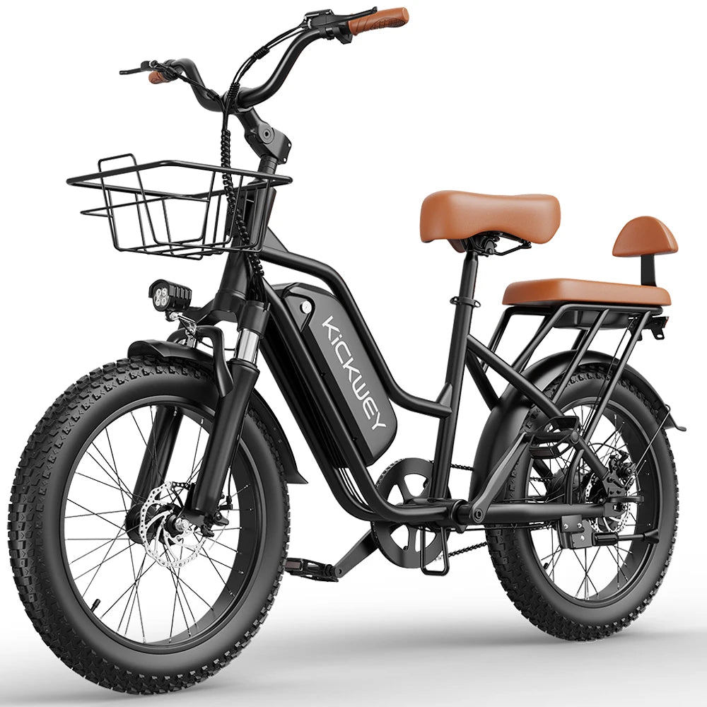 LD20 Fat Tire E-Bike