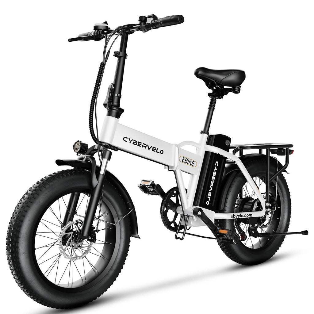 Fat Tire E-Bike 1000W