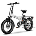 Fat Tire E-Bike 1000W