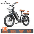 LD20 Fat Tire E-Bike