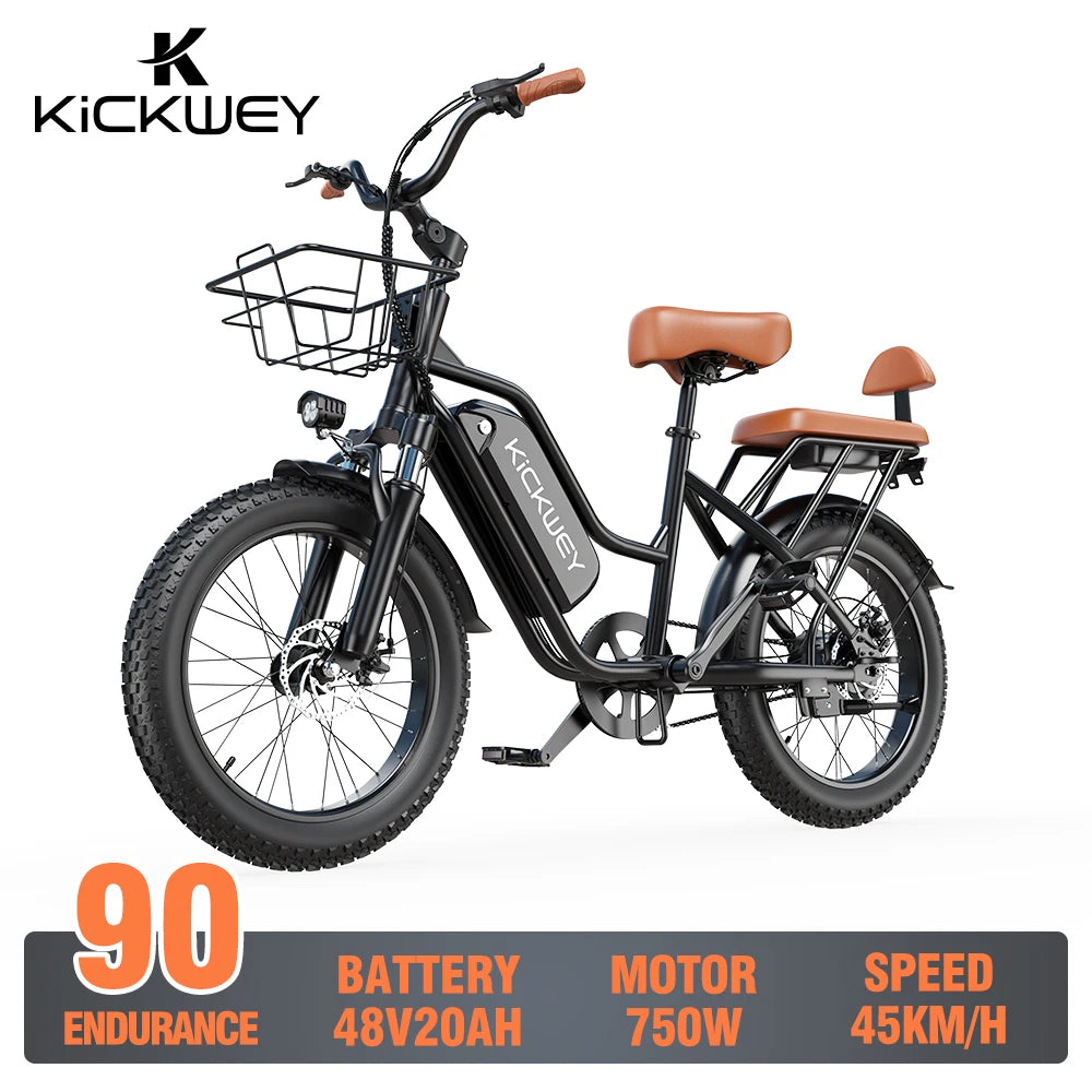 LD20 Fat Tire E-Bike