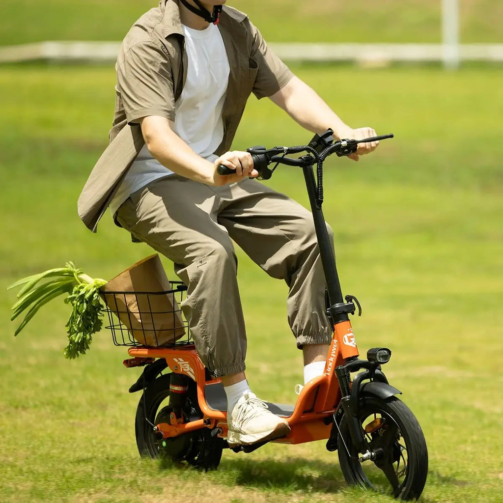 T3 Folding E-Bike