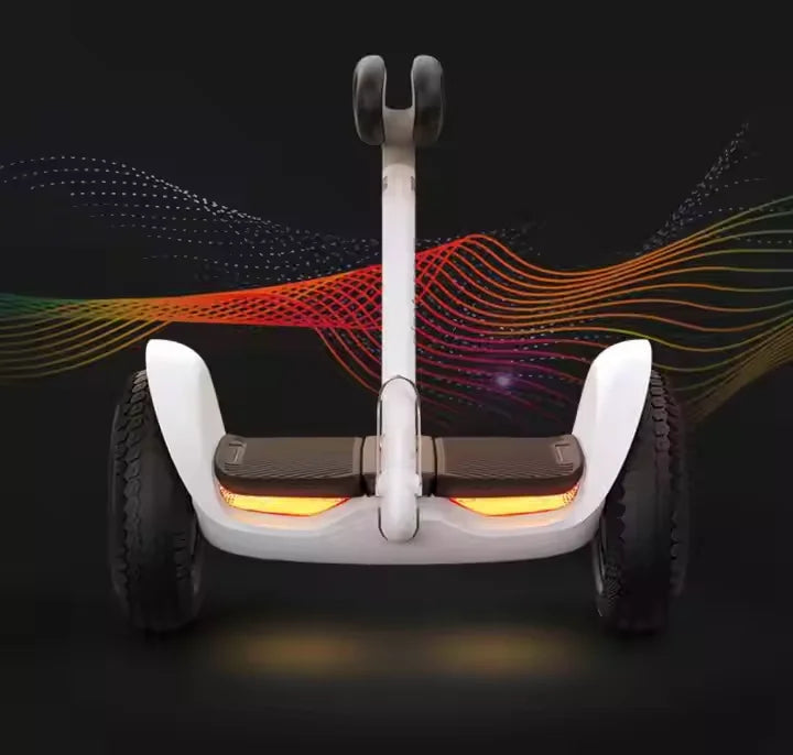 Ninebot L8 Balance Scooter