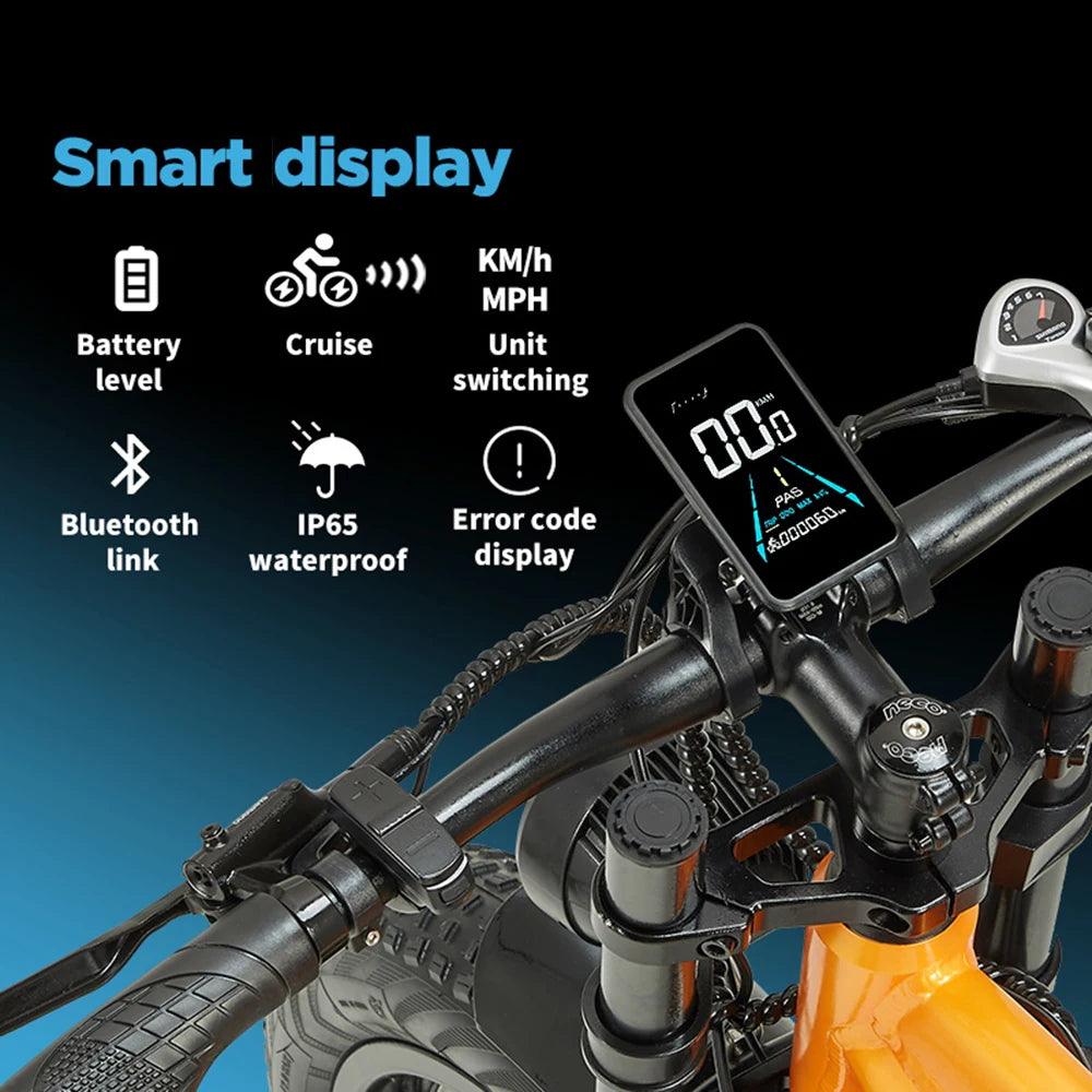 1000W Off-Road E-Bike