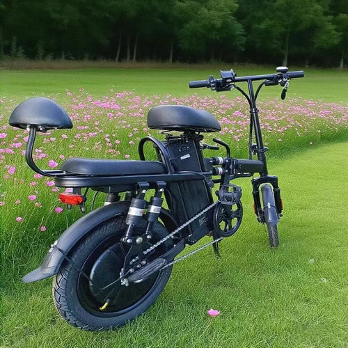 Colorful Folding E-Bike