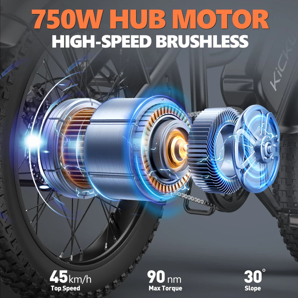 LD20 Fat Tire E-Bike