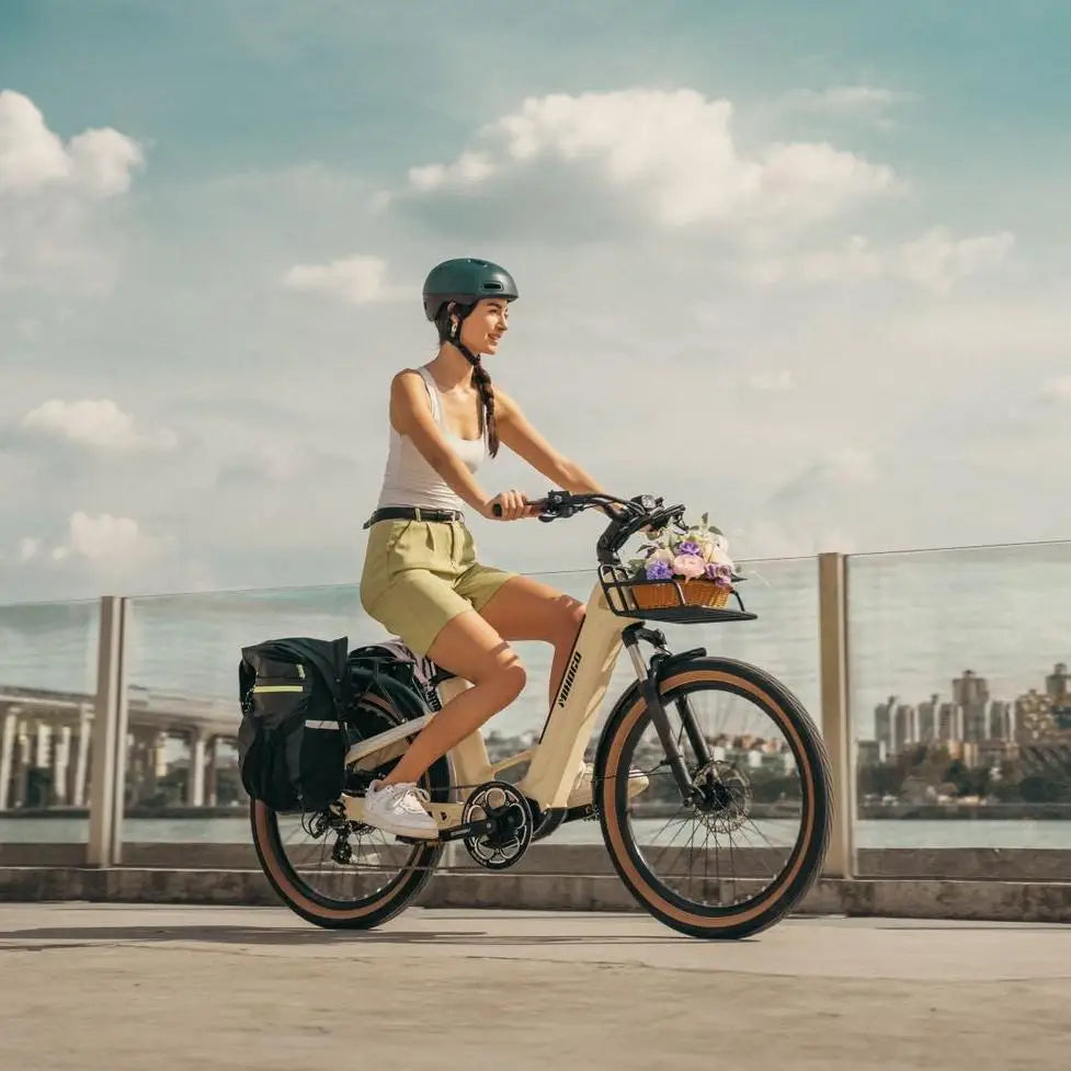 Carbon Frame E-Bike
