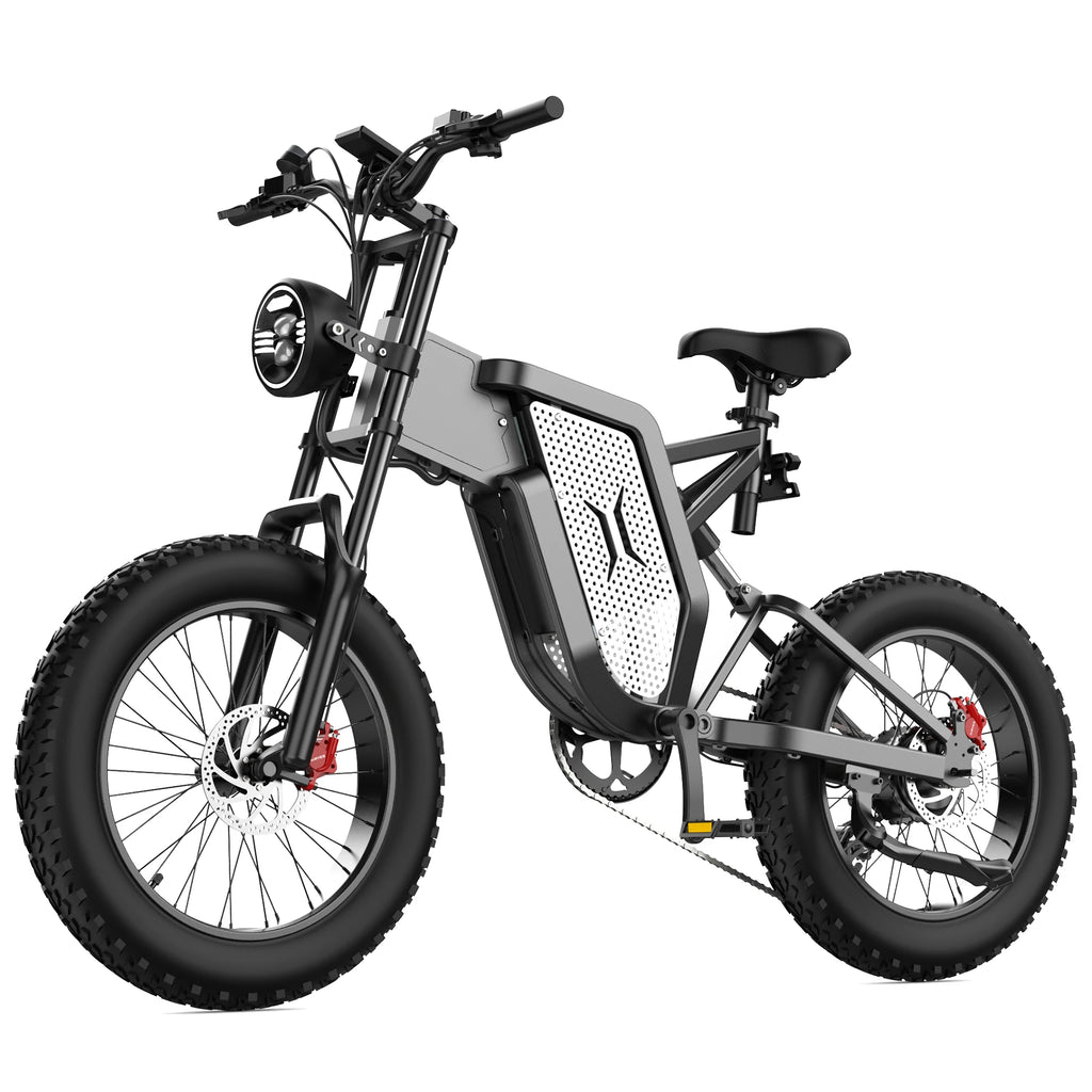 EKX X20 Electric Mountain Bike