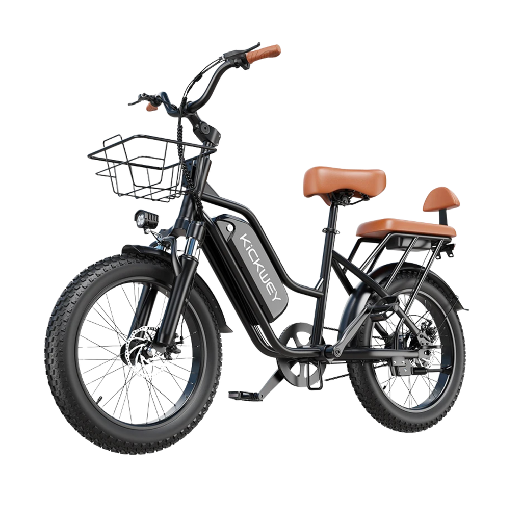 LD20 Fat Tire E-Bike